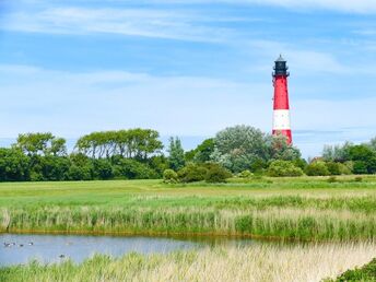 10% Last Minute - Kurztrip auf die Nordseeinsel Pellworm