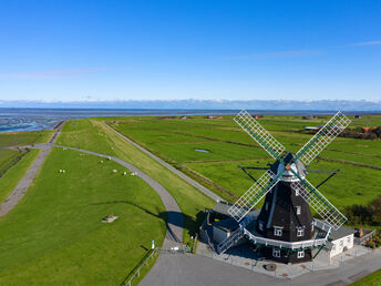 10% Last Minute - Kurztrip auf die Nordseeinsel Pellworm