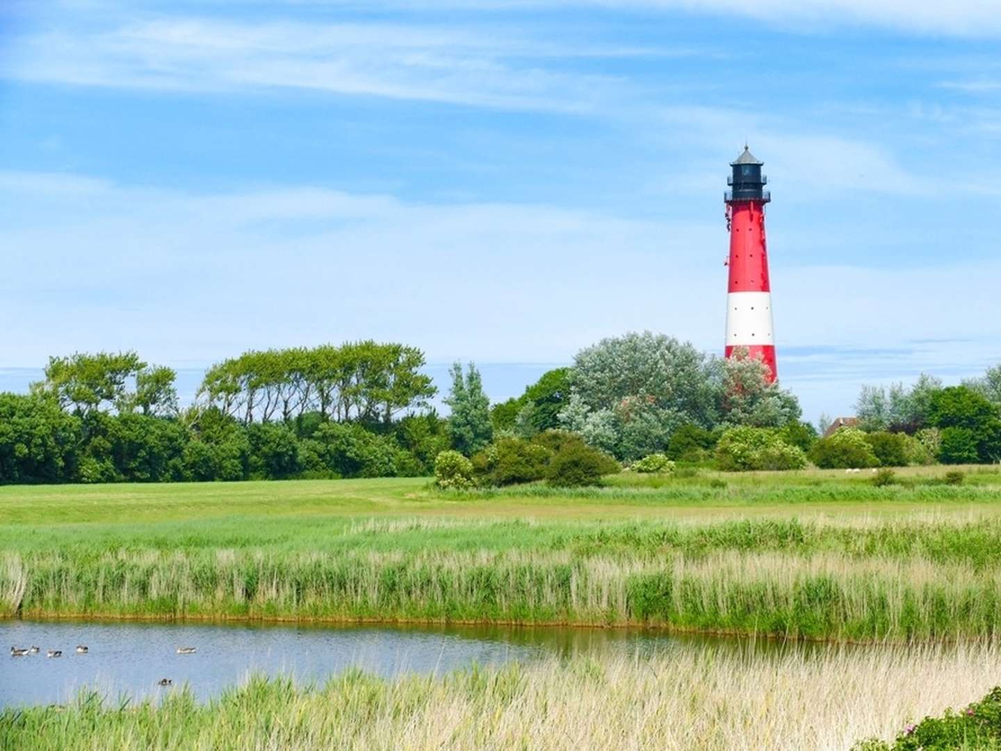 10% Last Minute - Kurztrip auf die Nordseeinsel Pellworm