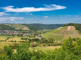 Genießertage - Kulinarischer Kurzurlaub an der Saar | 4 Tage