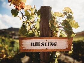 Diekert's Gourmet Reise - Kurzurlaub an der Saar | 2 Tage