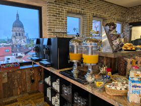 6 Tage Kurzurlaub in Mainz - Auszeit vom Alltag am Rhein