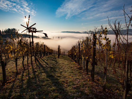 Weingenuss mit Wellness in der  Südsteiermark | 2 Nächte | Adults Only 2