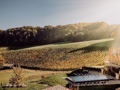 Zur Ruhe kommen inmitten der steirischen Weinberge | 3 Nächte 2