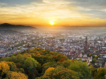 Bild 10 von 35