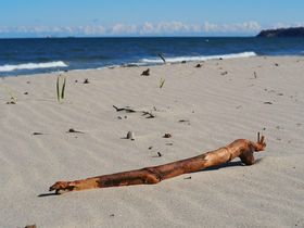 Im Winter die Ostsee auf Rügen genießen - 7 Nächte Special inkl. Sauna