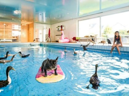 3 Tage Kurzurlaub - Erholsame Tage mit Hund im Landhotel Fettehenne