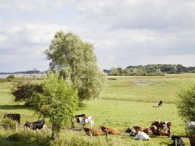 Hafen, Strand, Wind & Weite - 3 Tage Kurzurlaub an der Ostsee