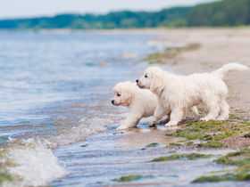 Unendliche Weite & doch alles ganz nah - 5 Tage Kurzurlaub an der Ostsee