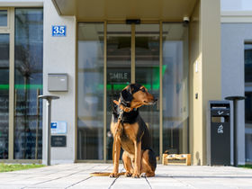 Bergidylle in der Alpenstadt Bad Reichenhall 2 Tage 2