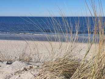 Bild 19 von 37