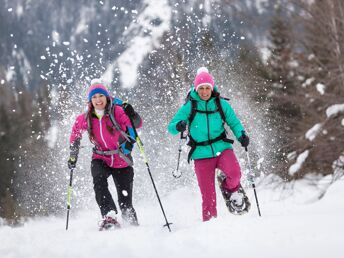 Bild 36 von 36