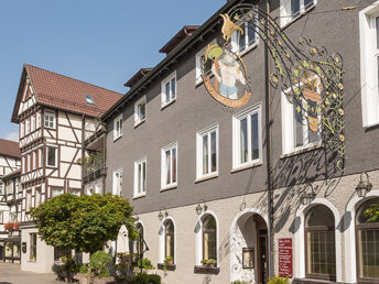 Bild 8 von 14
