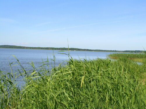 Haus Schwalbe am Achterwasser