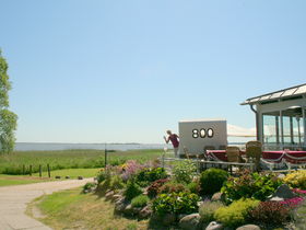 Vineta Deal auf Usedom