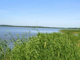 Vineta Deal auf Usedom