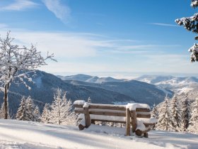 Secret Deal // Schwarzwald im Herbst und Advent - Premium Alles Inklusive 