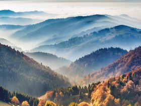 Secret Deal // Schwarzwald im Herbst und Advent - Premium Alles Inklusive 