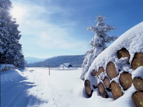 Secret Deal // Schwarzwald im Herbst und Advent - Premium Alles Inklusive 
