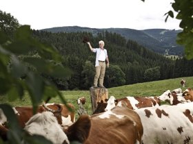 Secret Deal // Schwarzwald im Herbst und Advent - Premium Alles Inklusive 