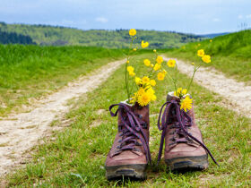 Secret Deal // Schwarzwald im Herbst und Advent - Premium Alles Inklusive 