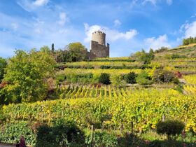 Schnuppertag Strasbourg Sonntags-Special