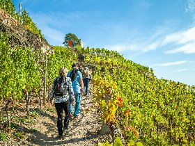 Silvester 2026 an der Mosel