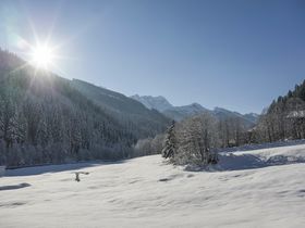 5=4 Special Jodelwandern im Zillertal inkl. Bergfahrt