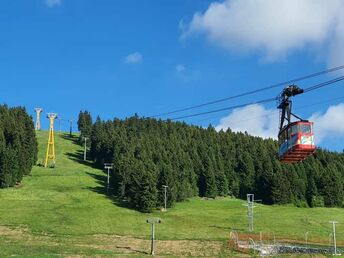 Bild 8 von 37