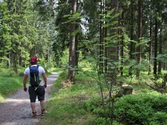 Bild 14 von 37