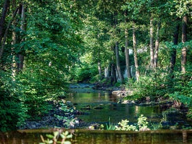 Harz Special: Kleine Wellness Auszeit in Bad Lauterberg | 5 Tage