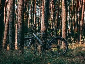 Harz Special: Kleine Wellness Auszeit in Bad Lauterberg | 5 Tage