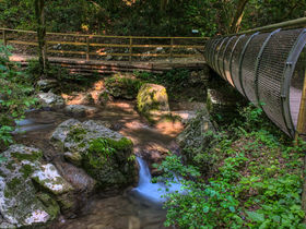Valpolicella - Entdecken Sie die Provinz von Verona | 2 Nächte