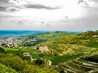 Valpolicella - Entdecken Sie die Provinz von Verona | 1 Nacht