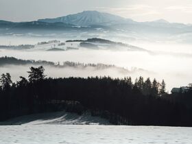 Naturzeit für Ruhesuchende & Entdecker am Fuße des Ötscher | 4 Nächte