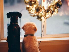 Naturzeit für Ruhesuchende & Entdecker am Fuße des Ötscher | 4 Nächte