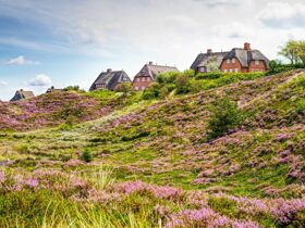Sylt ist das besondere Licht im Norden inkl. Sylter Aquarium & Dinner