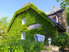 Sylt ist das besondere Licht im Norden inkl. Sylter Aquarium & Dinner