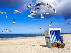 Erleben Sie eine Zeit voller Romantik auf Sylt inkl. Sylter Aquarium