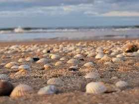 Die Natur entspannt genießen in Swinemünde | 2 ÜHP 
