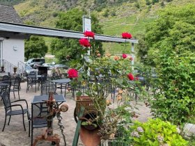 4 Pfoten Spezial - Auszeit mit Hund an der Mosel