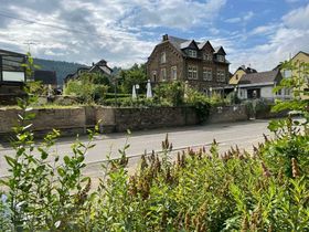 4 Pfoten Spezial - Auszeit mit Hund an der Mosel