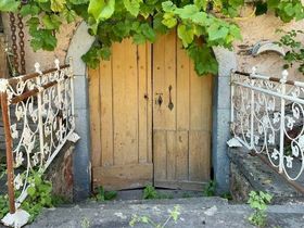 4 Pfoten Spezial - Auszeit mit Hund an der Mosel