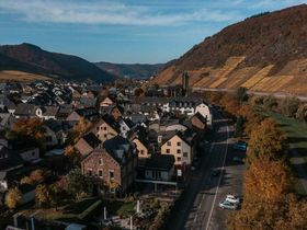 4 Pfoten Spezial - Auszeit mit Hund an der Mosel