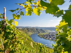 Moselurlaub mit Wein und Mosel Gästeticket