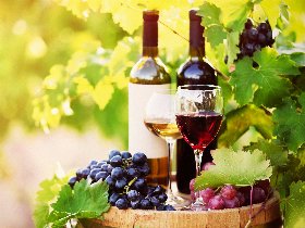 Moselurlaub 4 Tage inkl. Wein & Gästeticket