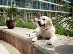 Neues Luxus-Hotel 300 m vom Strand | 2 Nächte mit Halbpension