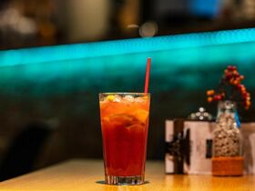 Relaxurlaub in Sárvár mit Botanischem Garten & Halbpension | 5 Nächte