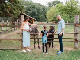 Relaxurlaub in Sárvár mit Botanischem Garten & Halbpension | 5 Nächte