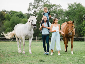 Relaxurlaub in Sárvár mit Botanischem Garten & Halbpension | 5 Nächte